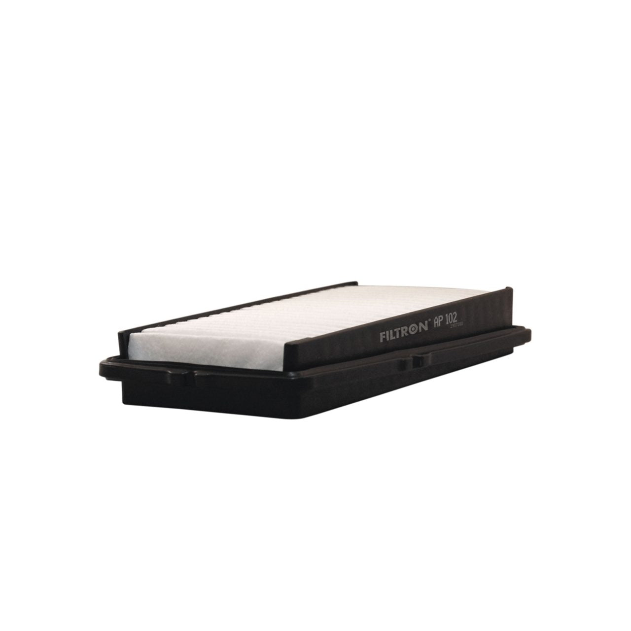 Filtron AP102 Hava Filtresi