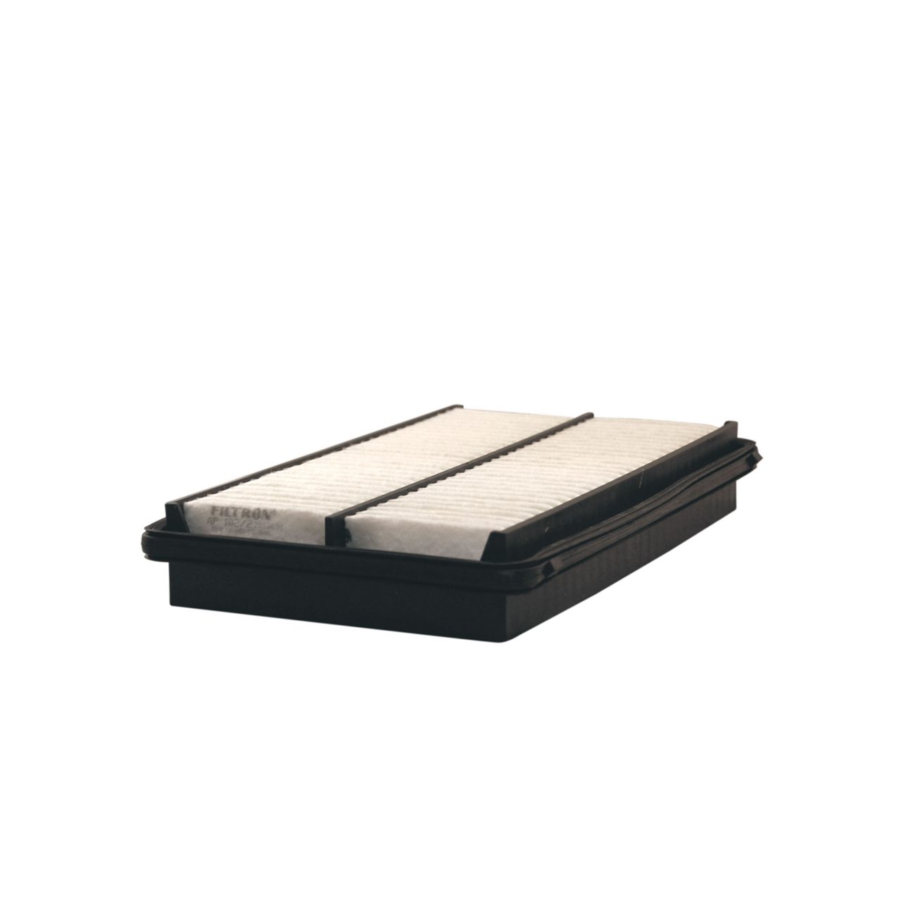 Filtron AP102/2 Hava Filtresi