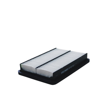 Filtron AP107/10 Hava Filtresi