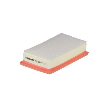 Filtron AP197/7 Hava Filtresi