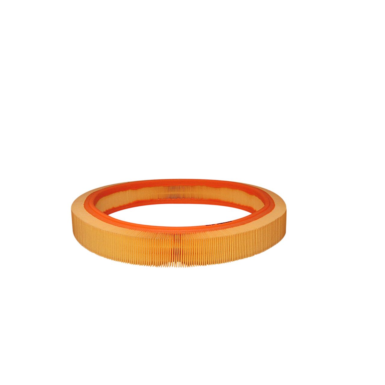 Filtron AR036 Hava Filtresi