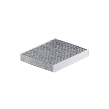 Filtron K1369A Karbonlu Polen Filtresi